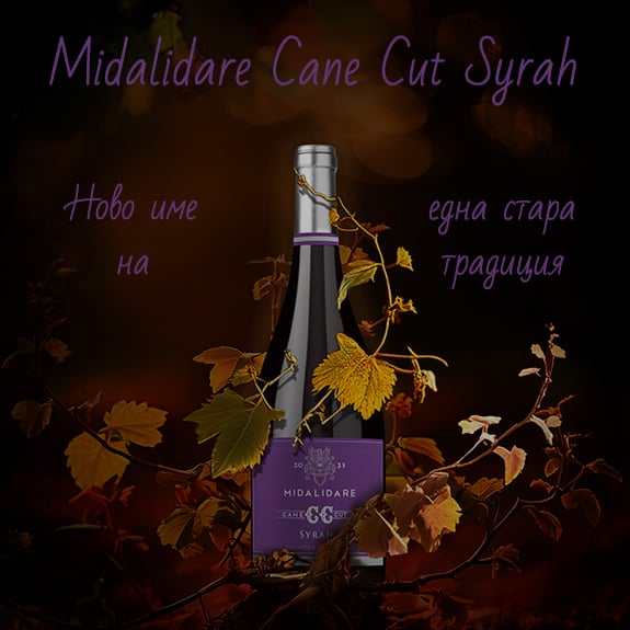 tablet accent banner 22