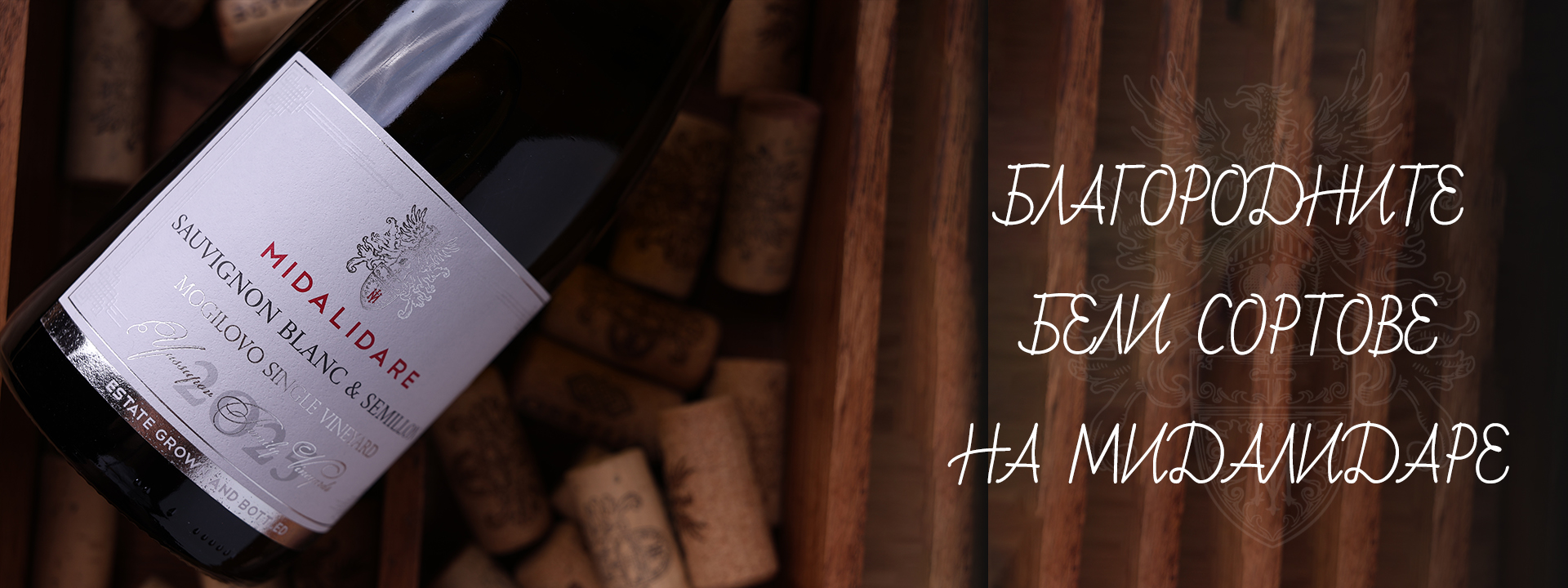 accent banner 19
