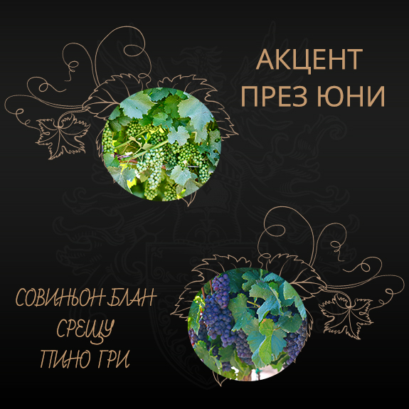 tablet accent banner 28