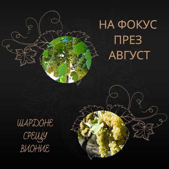tablet accent banner 28