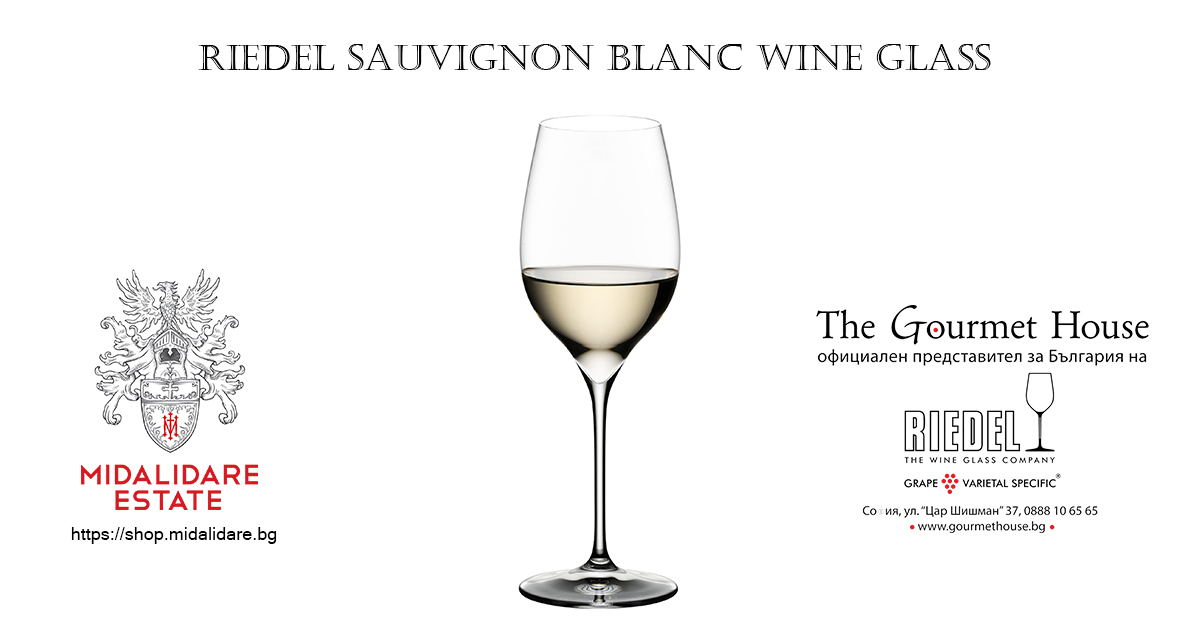 Sauvignon Blanc Wine Glass