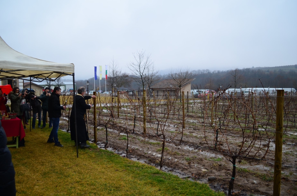 Трифон Зарезан 2018