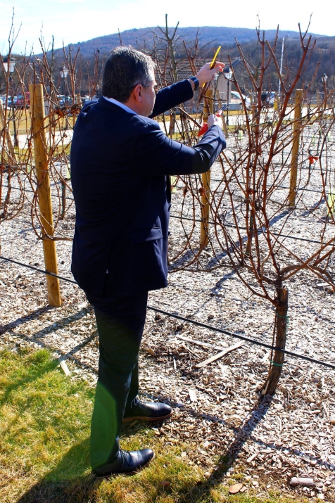 Трифон Зарезан 2019