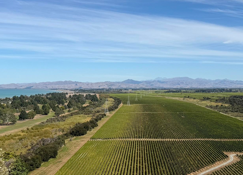 Централен Отаго: Подрегион Басейнът на Кромуел