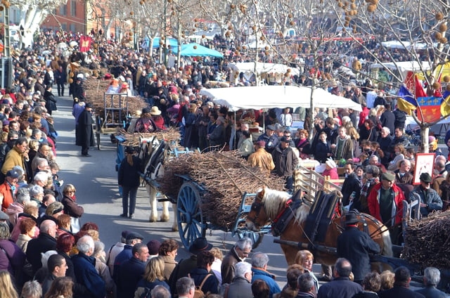 Festivités Saint Valentin de Roquemaure: Fête de la Taille de la Vigne