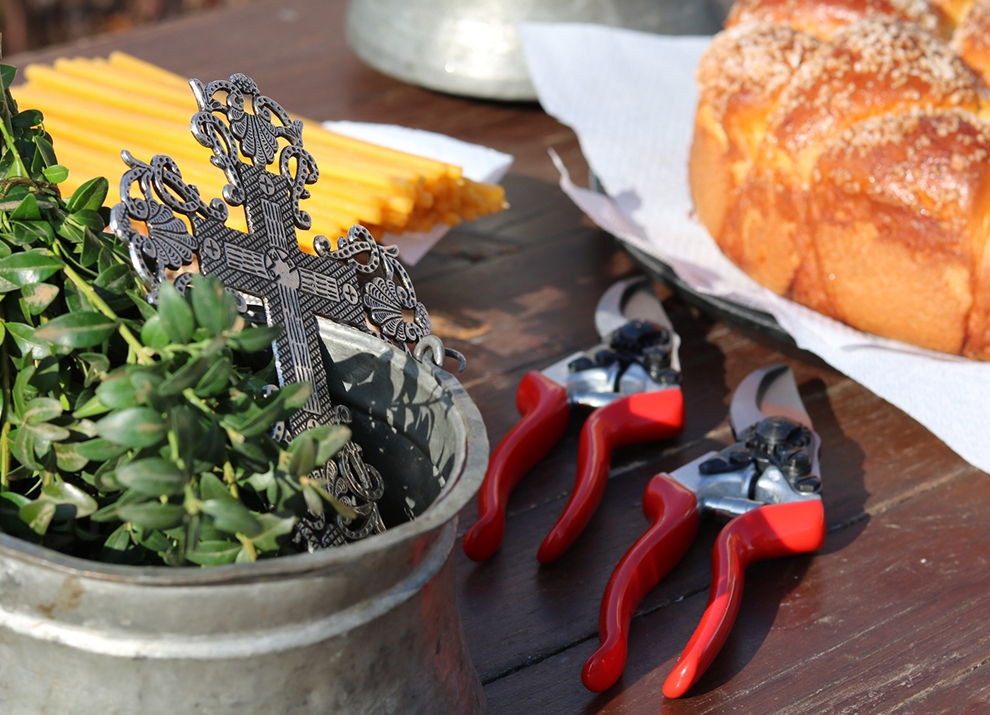 Празненства за зарязване на лозята по света