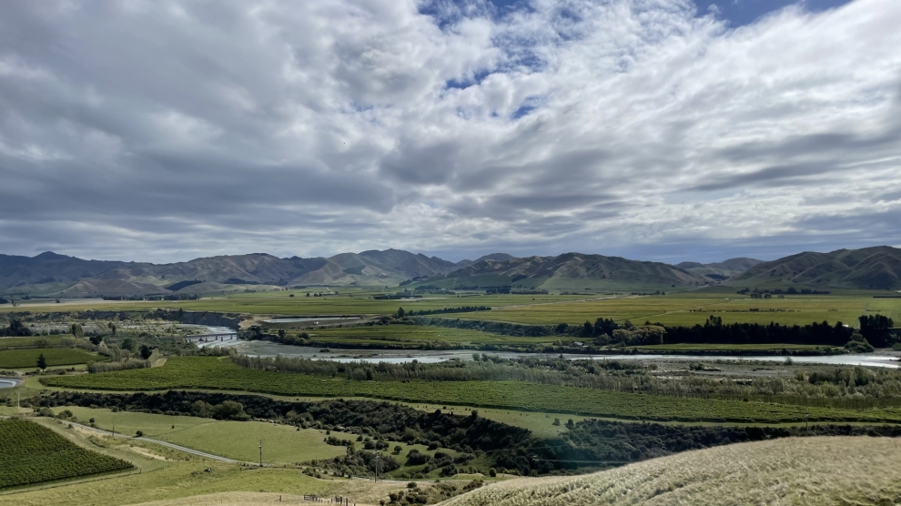 Craiglochart vineyard 2023_3