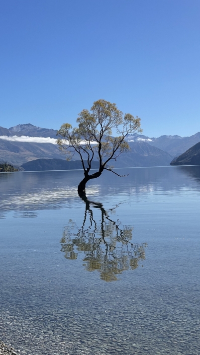 New Zealand photo by Aleksiev 1