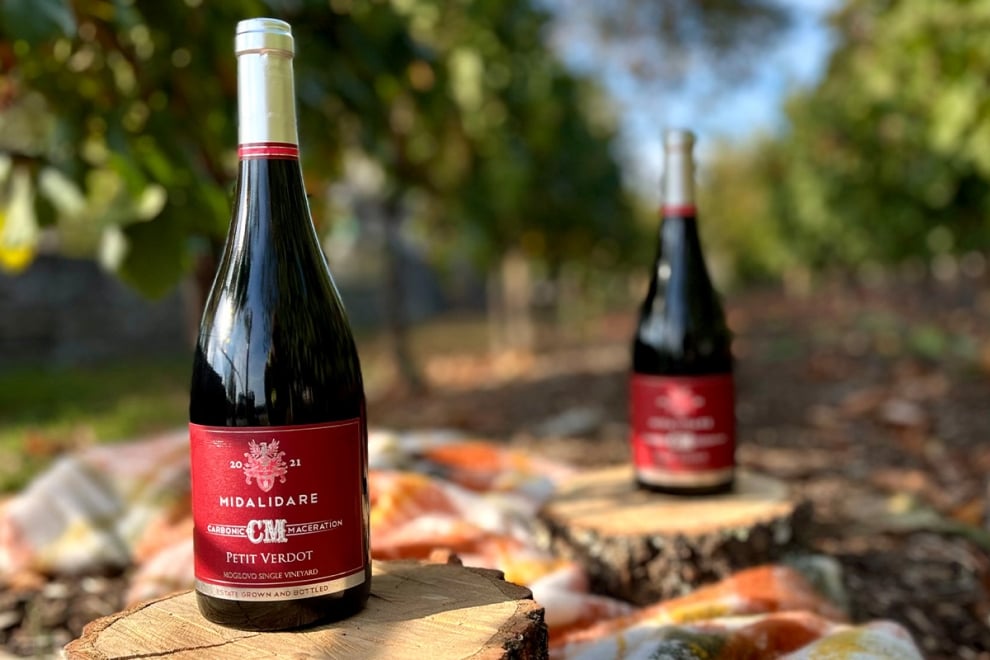Midalidare Carbonic Maceration Petit Verdot