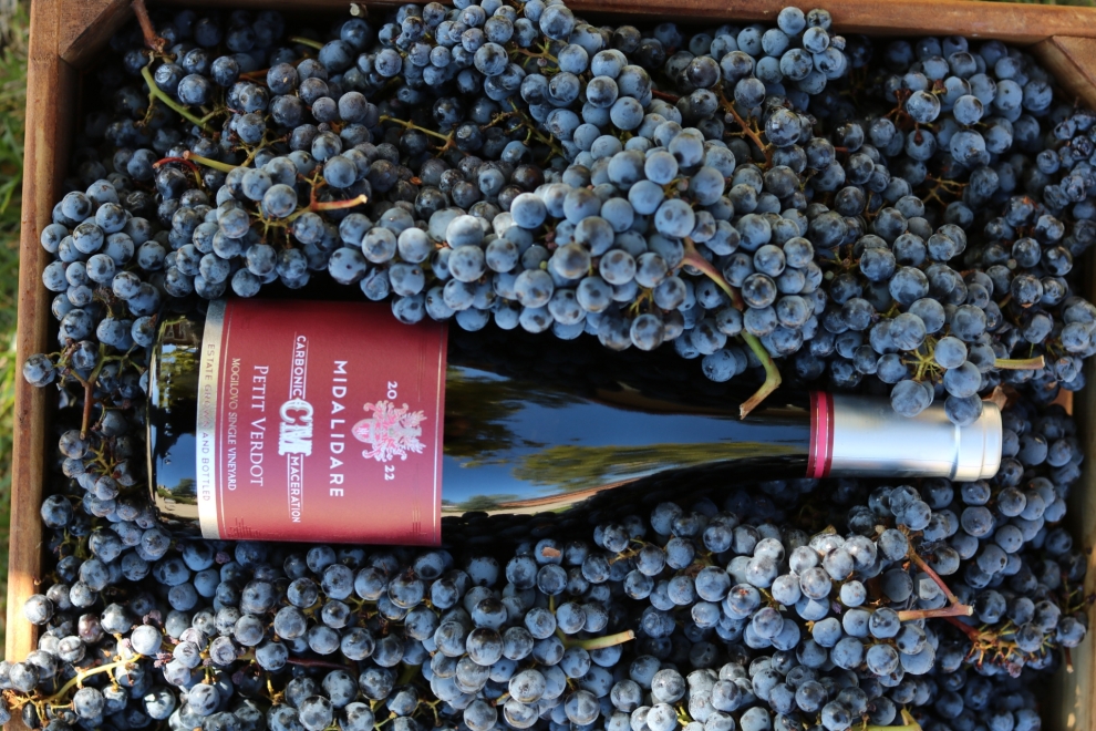 Midalidare Carbonic Maceration Petit Verdot