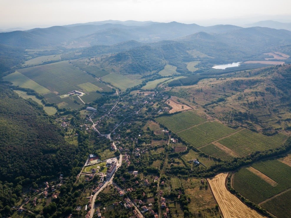 Могилово: винарна Мидалидаре Запад, лозов масив Дабовец и язовир Могилово